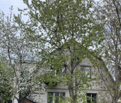 коттедж 224 кв м ул Комиссара Московского, 82