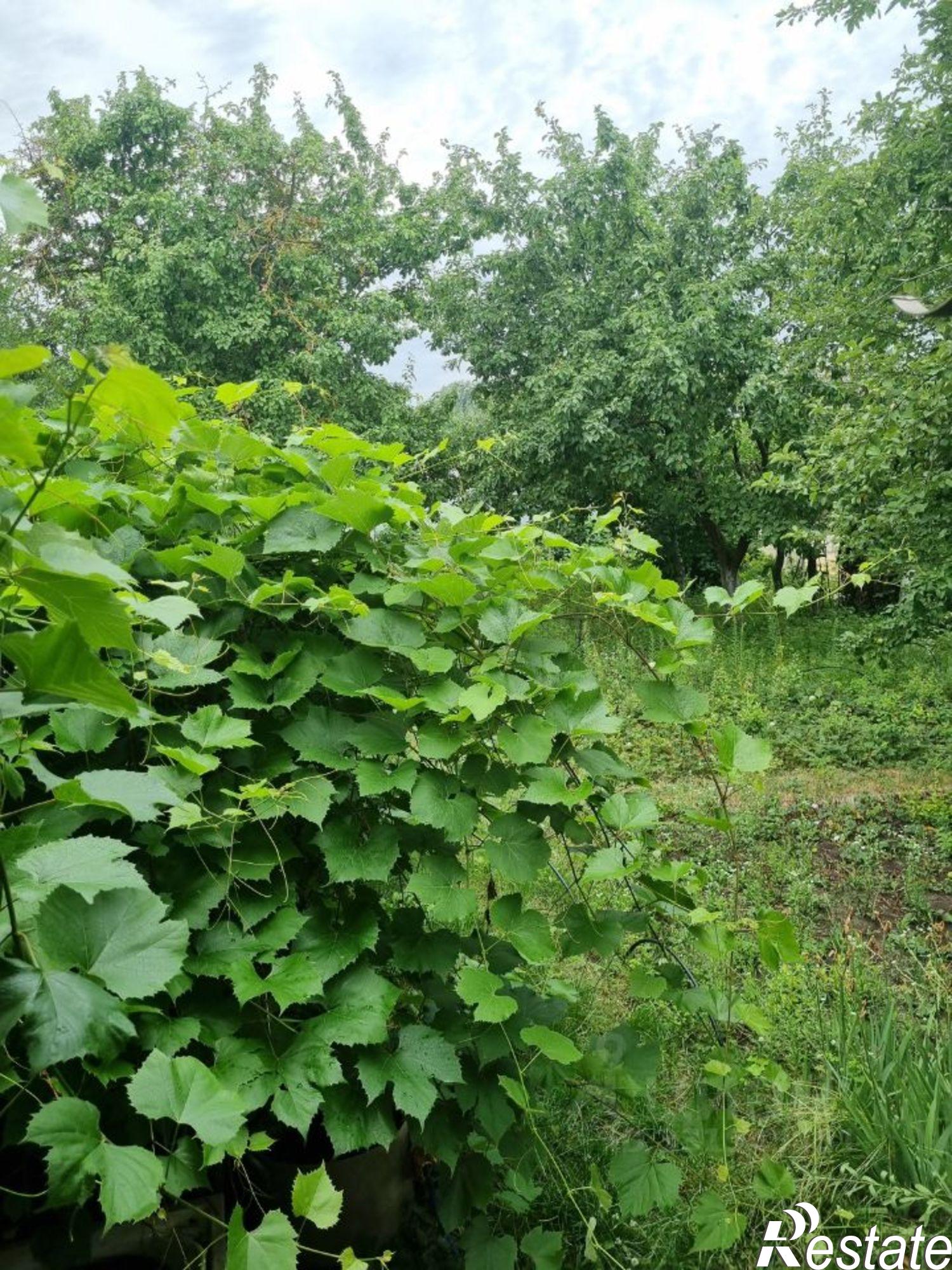 Купить дачу, дом, коттедж за 1 800 000 рублей на СНТ Заречный, 7