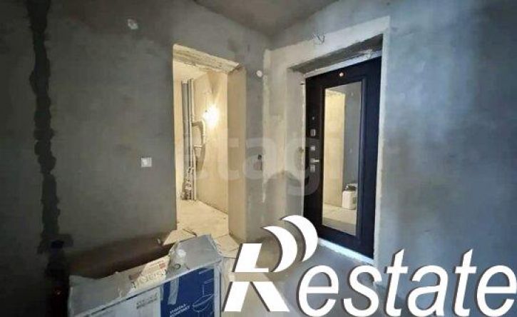 1-комн квартира улица Рылеева, 77А,  д. 77А